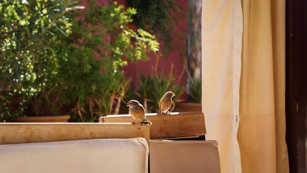 Riad Honey Marrakesh Buitenkant foto